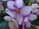 DSC01952