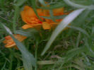 03082013(035)