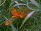 03082013(036)
