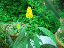 DSCN4791