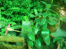 DSCN4793