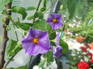 DSCN4796