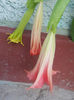 DSCN4798