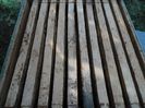 SAM_0297