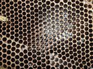 SAM_0312