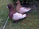 IMG1865