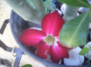 DSCN3403[1]