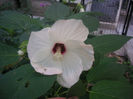 SANY0011
