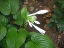 SANY0015