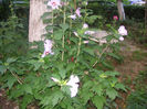 SANY0016