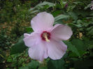 SANY0017