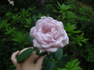 SANY0019
