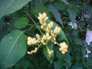 SANY0023