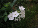 SANY0024