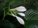 SANY0034