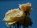 DSCN8934