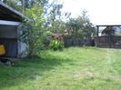 Picture 018