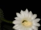 P7190027