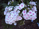 DSC08906