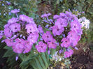 DSC08909