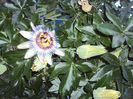 DSC09195