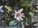 DSC09197