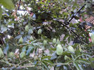 DSC09199