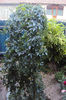 DSC09188