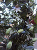 DSC09200