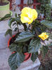 DSC09158