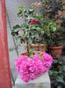 DSC09098