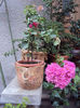DSC09099