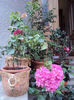 DSC09100