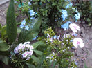 DSC08788