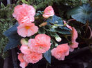 DSC08273