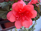 DSC08306