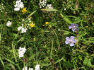 DSCF1141