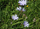 DSCF1135