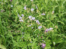 DSCF1158