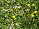 DSCF1151