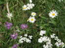 DSCF1157