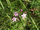 DSCF1183