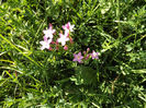DSCF1249