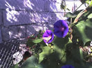 06-08-13_0848