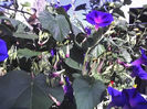 06-08-13_0849