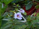 DSCN9025