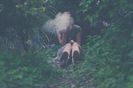 tumblr_lovxypGlD21qag1m4o1_500