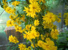 DSCN4808