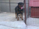 HERRA