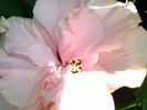 20130807_113804